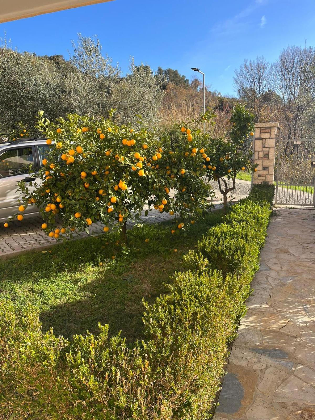 Villa Dei Limoni Škalngur Exterior foto